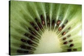 Kiwi Slice-Vaughan Fleming-Stretched Canvas
