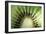 Kiwi Slice-Vaughan Fleming-Framed Premium Photographic Print