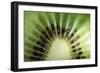 Kiwi Slice-Vaughan Fleming-Framed Photographic Print