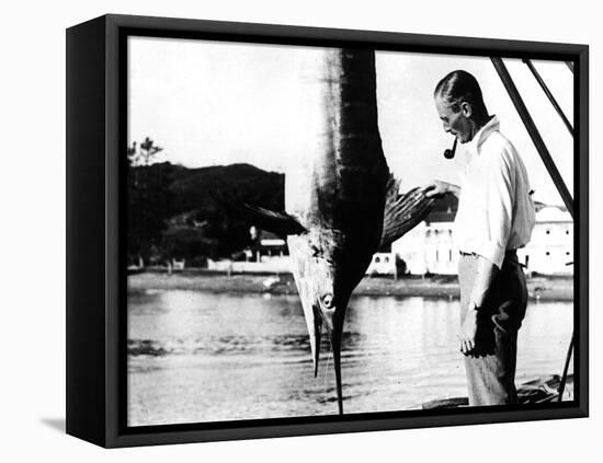 Kiwi Swordfish Catch-null-Framed Stretched Canvas