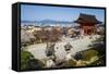 Kiyomizu-Dera Buddhist Temple, UNESCO World Heritage Site, Kyoto, Japan, Asia-Michael Runkel-Framed Stretched Canvas