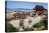 Kiyomizu-Dera Buddhist Temple, UNESCO World Heritage Site, Kyoto, Japan, Asia-Michael Runkel-Stretched Canvas