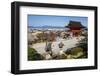 Kiyomizu-Dera Buddhist Temple, UNESCO World Heritage Site, Kyoto, Japan, Asia-Michael Runkel-Framed Photographic Print