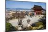 Kiyomizu-Dera Buddhist Temple, UNESCO World Heritage Site, Kyoto, Japan, Asia-Michael Runkel-Mounted Photographic Print