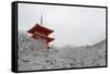 Kiyomizu-dera Temple's pagoda hiding behind snow-covered trees, UNESCO World Heritage Site, Kyoto,-Damien Douxchamps-Framed Stretched Canvas