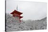 Kiyomizu-dera Temple's pagoda hiding behind snow-covered trees, UNESCO World Heritage Site, Kyoto,-Damien Douxchamps-Stretched Canvas