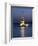 Kizkulesi, the Bosphorus, Istanbul, Turkey, Europe-Gavin Hellier-Framed Photographic Print