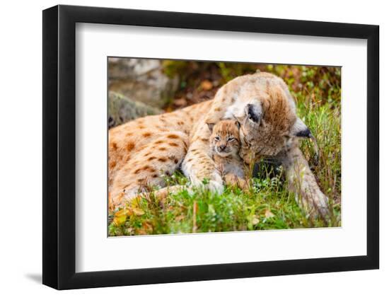 Premium Photographic Print, , large
