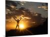 Klan00084 Silhouette Sunset Man Happy Sky in the New Mexico Sandia Mountains-Kevin Lange-Mounted Photographic Print