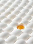 White Eggs, Lying on Their Sides, Filling the Picture-Klaus Arras-Photographic Print