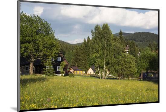 Photographic Print, , large