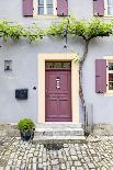 Old Door, House Facade, Upper Town, Bregenz, Vorarlberg, Lake Constance, Austria, Europe-Klaus Neuner-Photographic Print