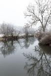 Inn 'Zur Linde', Bavaria, Germany, Europe-Klaus Neuner-Photographic Print