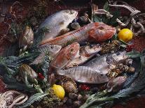 Still Life with Fish, Shellfish and Vegetables-Klaus P^ Exner-Laminated Photographic Print