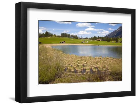 Photographic Print, , large