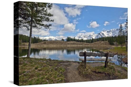 Stretched Canvas Print, , large