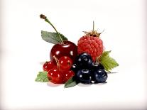 Cherry and Fresh Berries-Klaus Stemmler-Photographic Print