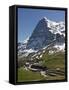 Kleine Scheidegg and Eiger Near Grindelwald, Bernese Oberland, Swiss Alps, Switzerland, Europe-Hans Peter Merten-Framed Stretched Canvas