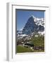 Kleine Scheidegg and Eiger Near Grindelwald, Bernese Oberland, Swiss Alps, Switzerland, Europe-Hans Peter Merten-Framed Photographic Print