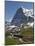 Kleine Scheidegg and Eiger Near Grindelwald, Bernese Oberland, Swiss Alps, Switzerland, Europe-Hans Peter Merten-Mounted Photographic Print