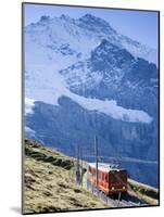 Kleine Scheidegg, Berner Oberland, Switzerland-Doug Pearson-Mounted Photographic Print