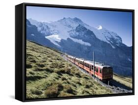 Kleine Scheidegg, Berner Oberland, Switzerland-Doug Pearson-Framed Stretched Canvas