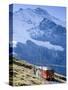 Kleine Scheidegg, Berner Oberland, Switzerland-Doug Pearson-Stretched Canvas