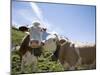 Kleine Scheidegg, Bernese Oberland, Berne Canton, Switzerland, Europe-Angelo Cavalli-Mounted Photographic Print