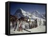 Kleine Scheidegg, Switzerland-null-Framed Stretched Canvas