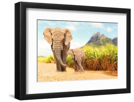 Photographic Print, , large