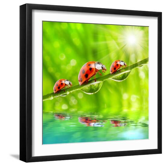 Premium Photographic Print, , large