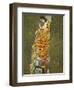 Klimt, Hope-null-Framed Giclee Print