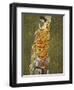 Klimt, Hope-null-Framed Giclee Print