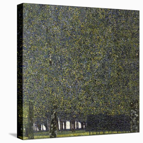 Klimt, the Park-null-Stretched Canvas