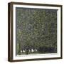 Klimt, the Park-null-Framed Premium Giclee Print