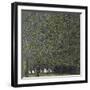 Klimt, the Park-null-Framed Giclee Print