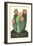 Klinger Posters-null-Framed Art Print