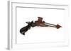 Klingon Disruptor Pistol-null-Framed Giclee Print