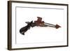 Klingon Disruptor Pistol-null-Framed Giclee Print