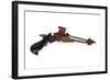 Klingon Disruptor Pistol-null-Framed Giclee Print