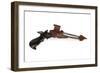 Klingon Disruptor Pistol-null-Framed Giclee Print