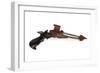 Klingon Disruptor Pistol-null-Framed Giclee Print