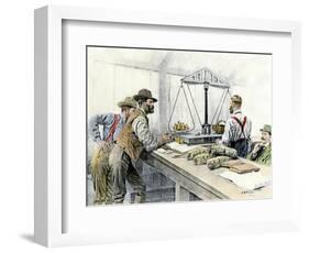 Klondike Miners Weighing Their Gold in a Dawson City Bank, c.1898-null-Framed Giclee Print