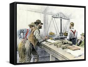 Klondike Miners Weighing Their Gold in a Dawson City Bank, c.1898-null-Framed Stretched Canvas