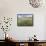 Knapweed in Lugg Meadows, Plantlife Reserve-null-Framed Stretched Canvas displayed on a wall