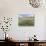 Knapweed in Lugg Meadows, Plantlife Reserve-null-Stretched Canvas displayed on a wall