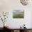 Knapweed in Lugg Meadows, Plantlife Reserve-null-Mounted Photographic Print displayed on a wall