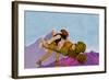 Knave with a Wheelbarrow-Maxfield Parrish-Framed Art Print