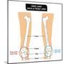 Knee Joint - Bones (Femur, Tibia, Fibula, Patella)-udaix-Mounted Premium Giclee Print