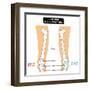 Knee Joint - Bones (Femur, Tibia, Fibula, Patella)-udaix-Framed Art Print